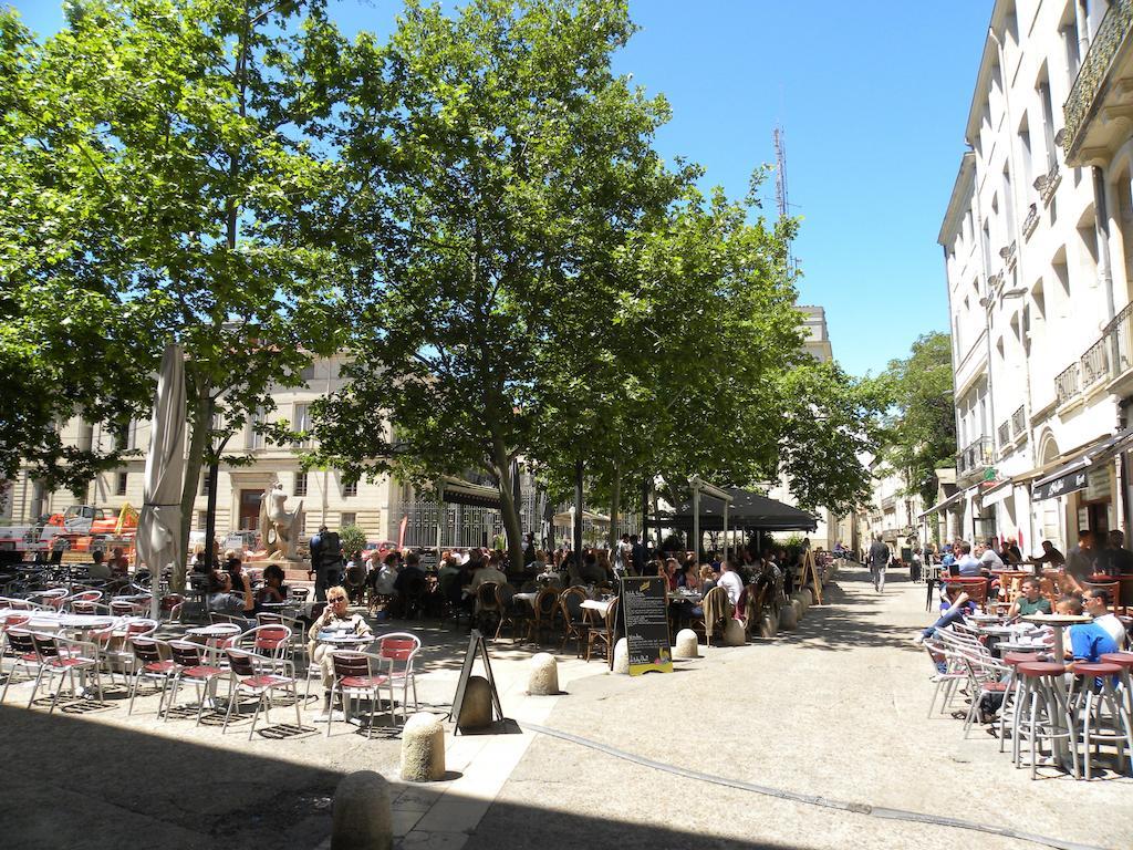 Apartamento La Terrasse du Marché aux Fleurs Montpellier Exterior foto